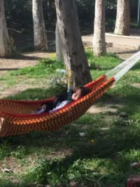 Hamac colombien 