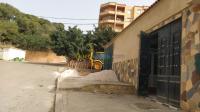 تيبازة-الجزائر-محل-kra-mhl-tybaz