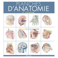 alger-draria-algerie-livres-magazines-planches-d-anatomie-t3-la-tête-osseuse