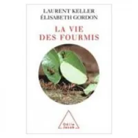 La vie des fourmis