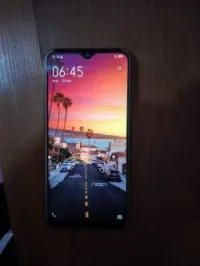 vivo U3x