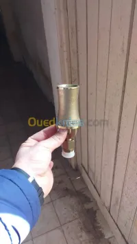 البليدة