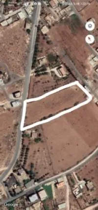 Vente Terrain Tlemcen Msirda fouaga
