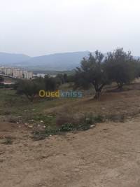 blida-el-affroun-algerie-terrain-vente