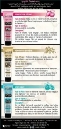 conception de maquette 