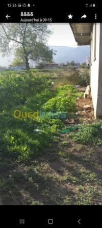 البليدة-بوفاريك-الجزائر-أرض-byaa-ard-alblyd-bofaryk