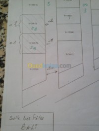تلمسان-الجزائر-أرض-byaa-ard-tlmsan