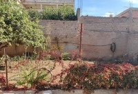 وهران-حاسي-بونيف-الجزائر-أرض-byaa-ard-ohran-hasy-bonyf