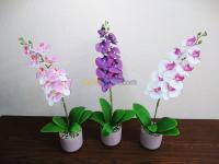 تيبازة-القليعة-الجزائر-ديكورات-و-ترتيب-fleurs-artificielles-decoration