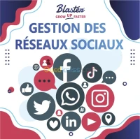 Gestion des réseaux sociaux