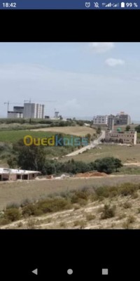 بومرداس-زموري-الجزائر-أرض-byaa-ard-bomrdas-zmory
