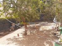 الجزائر-الكاليتوس-شقة-byaa-shk-3-ghrf-aljzaer-alkalytos
