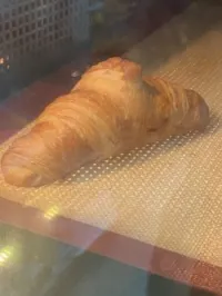 Viennoiserie surgelés 