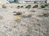 تلمسان-هنين-الجزائر-أرض-byaa-ard-tlmsan-hnyn