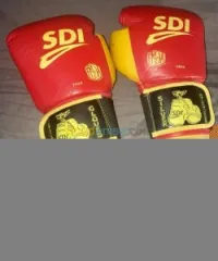 Gants de boxe 