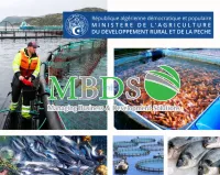 زراعة الاسماك-aquaculture 