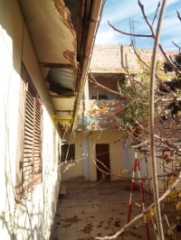 الشلف-الشطية-الجزائر-شقة-vente-appartement-f1-chlef-chettia