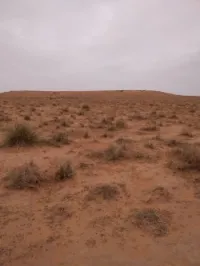 Vente Terrain El bayadh Bougtoub