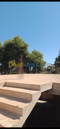 تيبازة-الجزائر-هيكل-byaa-hykl-tybaz