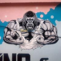 الجزائر-شراقة-ديكورات-و-ترتيب-fresques-dessins-murales