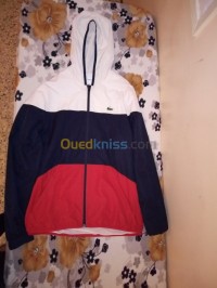 مستغانم-الجزائر-توب-و-تي-شيرت-lacoste-haute-vêtements