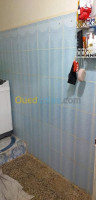 ain-defla-djelida-algerie-appartement-vente-f3