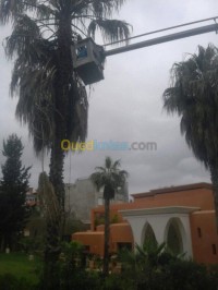 gardening-jardinier-hydra-algiers-algeria