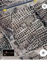 Vente Terrain Agricole Biskra Ouled djellal