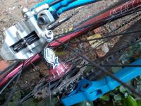 تيارت-الجزائر-معدات-رياضية-velo-dh-commencal-supreme