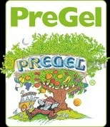 PreGel Matière Première Glace Artisana