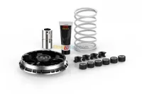 Variateur BMW C400X /GT