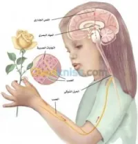 Cours de soutien science naturelle-vie