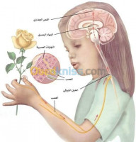 alger-centre-cheraga-dely-brahim-el-biar-hydra-algerie-ecoles-formations-cours-de-soutien-science-naturelle-vie