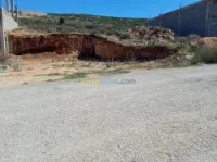 Vente Terrain Tlemcen Souahlia