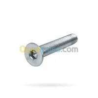VIS TETE BTRF INOX A2 & A4