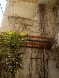 Vente Villa Tebessa Tebessa