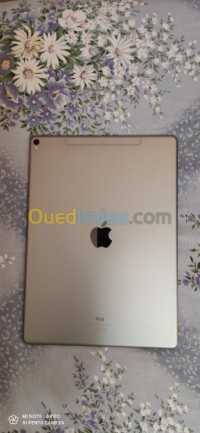 كمبيوتر-لوحي-ipad-pro-129-wifi3g-512g-براقي-الجزائر