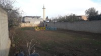 بومرداس-خميس-الخشنة-الجزائر-أرض-byaa-ard-bomrdas-khmys-alkhshn
