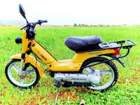 chlef-algerie-motos-scooters-peugeot-fox-moto-moubilat-1999