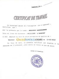 الأغواط-الجزائر-بناء-و-أشغال-تركيب-وتفكيك-السقالات