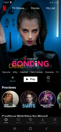Abonnements Netflix 