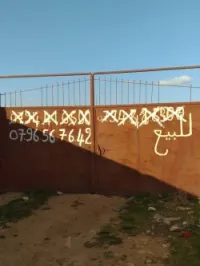 Location Terrain Agricole Tiaret Sougueur