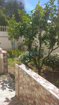 الشلف-تنس-الجزائر-شقة-byaa-shk-4-ghrf-alshlf-tns