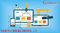 DEVELOPPEMENT SITE WEB 