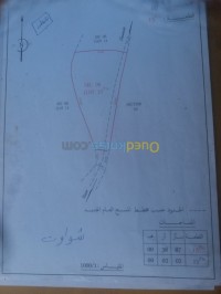 سطيف-العلمة-الجزائر-أرض-byaa-ard-styf-alaalm