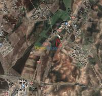 سطيف-العلمة-الجزائر-أرض-byaa-ard-styf-alaalm