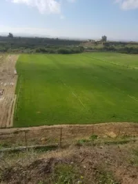 Production Fourniture et pose gazon 