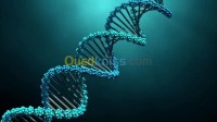 طلبات-عمل-geneticienne-biologiste-البليدة-الجزائر