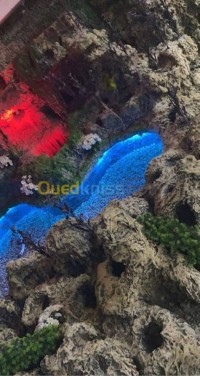 الجزائر-وسط-ديكورات-و-ترتيب-شلالات-بجميع-الأحجام