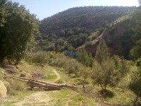 mascara-algerie-construction-travaux